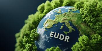 EUDR update: objective, obligations and new timetable