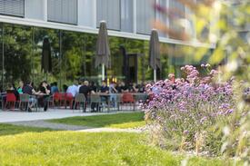 Restoration of the AEB garden