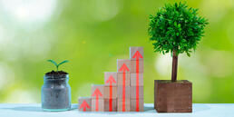 Trade compliance software: Your return on investment